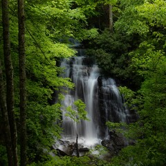 Beautiful shot of Soco Falls with green trees in Jackson County, North Carolina