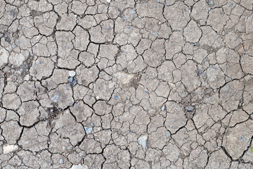 A background of dried soil