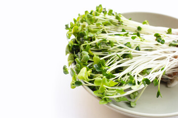 Kaiware (daikon radish sprouts) on white background.
