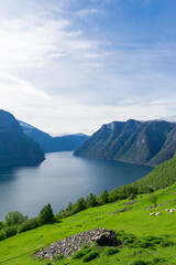 Fototapeta premium Beautiful fjord Naeroyfjord with high mountains and waterfalls, Norway