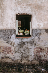 old window in the old wall with flower pots