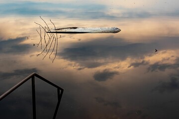 Small capsized boat in a river with reflection of the clouds in a forest in Belarus
