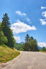 Fototapeta na wymiar Curvy open road or street through green tall trees with a cloudy blue sky. Landscape view of a path in a scenic and peaceful location surrounded by nature or lush foliage on a summer day
