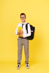 Portrait of a schoolboy in glasses with textbooks and a backpack on a yellow background. Back to...