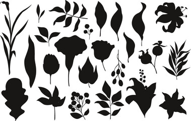 Set of Vintage hand drawn floral Vectors Silhouettes