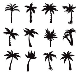 California palm trees isolated Vectors Silhouettes