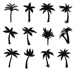 Poster California palm trees isolated Vectors Silhouettes © Design Stock