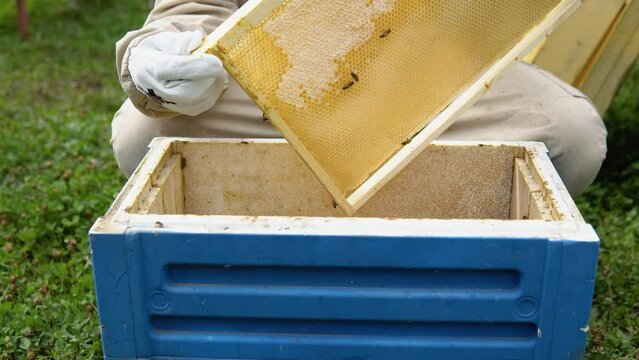 Beekeeper at Work. Bee keeper lifting shelf out of hive. The beekeeper saves the bees