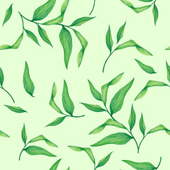 Pattern with leaves. Watercolor, green leaves in a seamless background. Botany, watercolor composition.