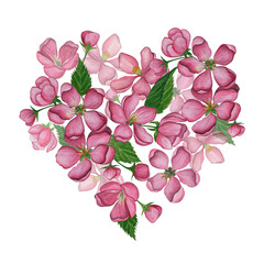 Blossoming apple tree, sakura. Flower heart. Pink, watercolor apple or sakura flowers