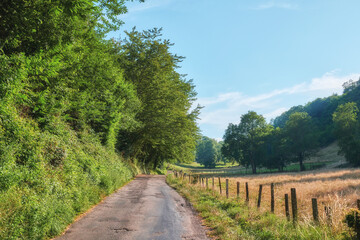 Fototapeta na wymiar A countryside dirt road leading to agriculture fields or farm pasture in remote area location with serene and vibrant trees. Landscape view of quiet, lush, green scenery of farming meadows in France