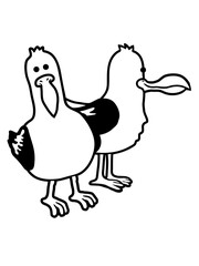 Team 2 lustige Möwen 