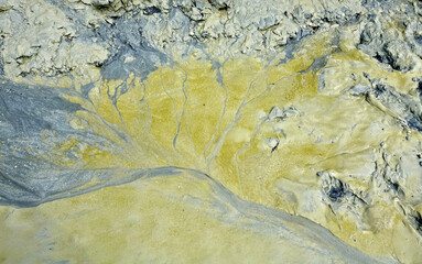 Visite de la baie jusqu'à l'Ile de Tombelaine en Normandie en France