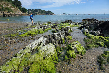 Randonnée sur le GR 34 de Cancale à la Pointe du Grouin