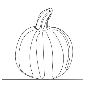 pumpkin drawing in one continuous line, isolated, vector