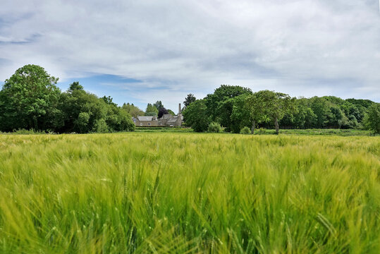 Chaumiere Bilder Durchsuchen 661 Archivfotos, und