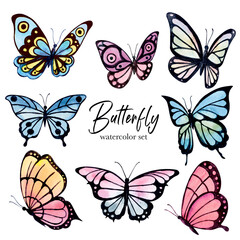 Fototapeta na wymiar Colorful butterfly's watercolor set. Watercolor illustration