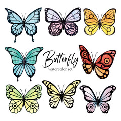 Fototapeta na wymiar Colorful butterfly's watercolor set. Watercolor illustration
