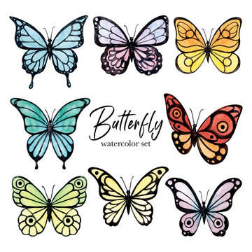 Colorful butterfly's watercolor set. Watercolor illustration