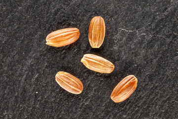Several grains of organic raw brown rice on slate stone, close-up, top view.