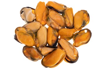 mussels isolated