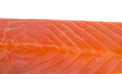 red fish fillet isolated