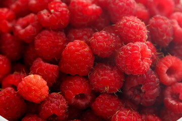 Fresh ripe raspberries with a hill are bright and juicy.