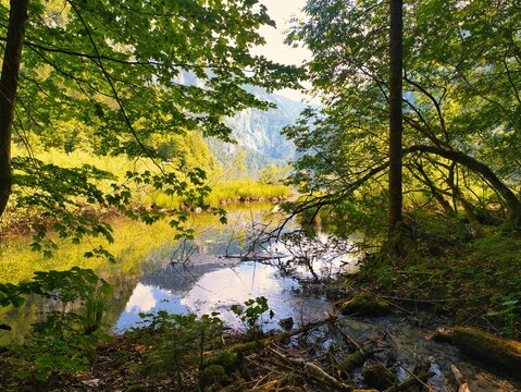Beautiful scenery of Lake Toplitz and the green nature in Salzkammergut, Austria