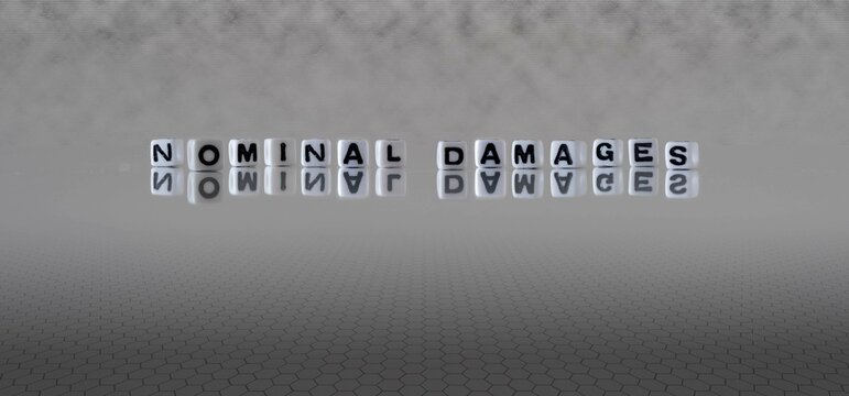 nominal damages word or concept represented by black and white letter cubes on a grey horizon background stretching to infinity
