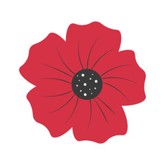Poppy flower illustration Remembrance day symbol