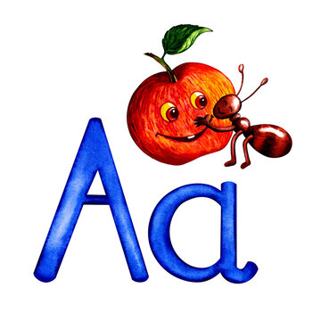 Letter A uppercase and lowercase with an image of an apple and an ant. Watercolor drawing, for the alphabet.