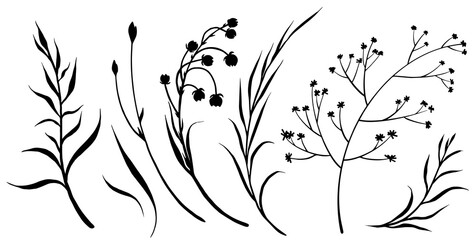 Set of decorative wild meadow flowers and branches. Hand drawn black and white vector illustration.