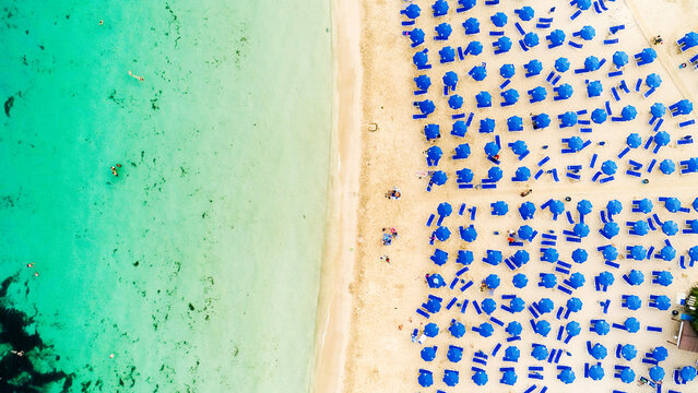 Aerial bird's eye view of Makronissos organised beach coastline, Ayia Napa, Famagusta, Cyprus from above. Blue aligned umbrellas, golden sand, parasols, people sunbathing sun beds clean turquoise sea.