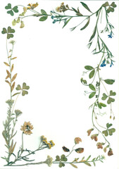 Frame of dry flowers