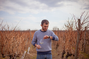 man in the middle of a vineyard in autumn with glasses of white wine looking on the wrist watches