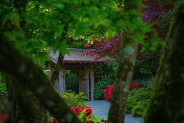 Old gates of the garden with blooming trees through tree © Dominick Montano/Wirestock Creators