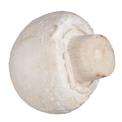 Fototapeta premium Whole champignon mushroom isolated on white background without shadow
