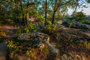 view to the horizon from the edge of a rocky forested cliff 