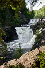 Fototapeta na wymiar Kivach is a waterfall on the Suna River in the Republic of Karelia.
