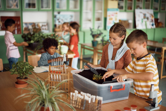 Elementary students learning botany while planting in the classroom.