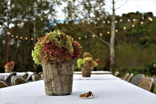 Rural Rustic Garden Party with Hydrangeas