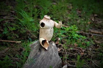 Obraz premium Creepy abandoned doll in nature