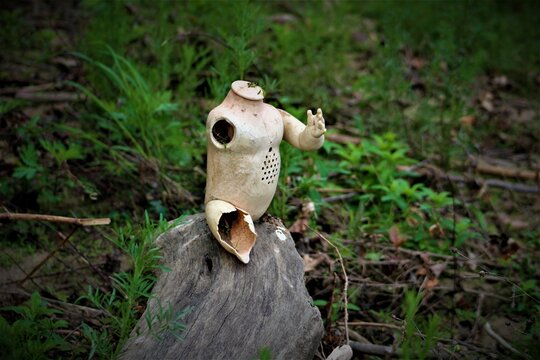 Creepy abandoned doll in  nature