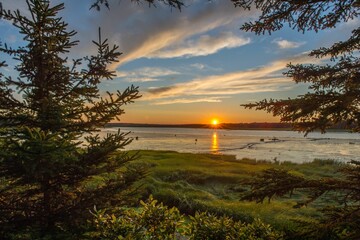 Panoramic view of pine trees with a lake in the background in Prince Edward Island at sunrise