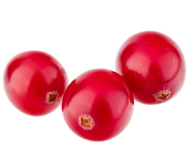cranberry  isolated on white background cutout