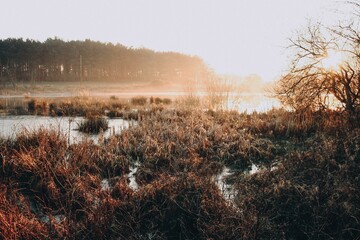 Nature around the UK