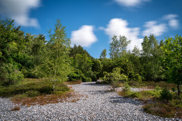 path in the mountains
