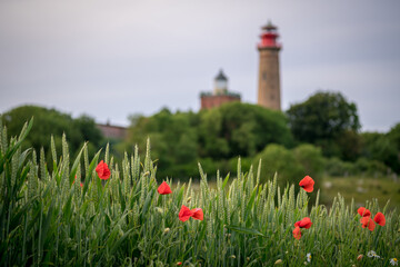 lighthouse with poppies
