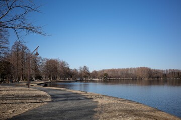 A quiet afternoon in the park