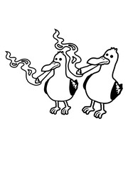 Freunde 2 Kiffer Möwen 